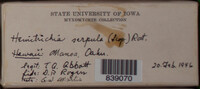 Image Associated With the Occurence